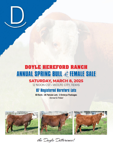 2025 Sale